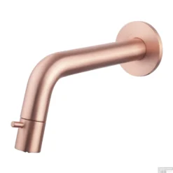 Fonteinkraan Inbouw BWS Toiletkraan Verstelbaar Geborsteld Koper