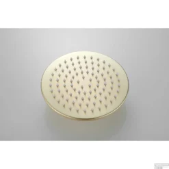 Hoofddouche Boss & Wessing Vision Rond 20 Cm Mat Goud