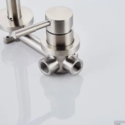 Inbouw Wastafelkraan BWS Exclusive 304 RVS Eenhendel -Exporteren Badkamer Top Winkel img 3655