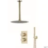 Inbouw Regendouche Set Boss & Wessing Gold Plafonduitloop En 30 Cm Hoofddouche Mat Goud -Exporteren Badkamer Top Winkel inbouw regendouche set bws gold plafonduitloop en 30 cm hoofddouche mat goud shop