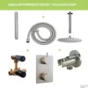 Thermostatisch Inbouwdoucheset BWS Plafonduitloop Rond 20 Cm Geborsteld RVS -Exporteren Badkamer Top Winkel thermostatisch inbouwdoucheset bws plafonduitloop rond 20 cm geborsteld rvs 2